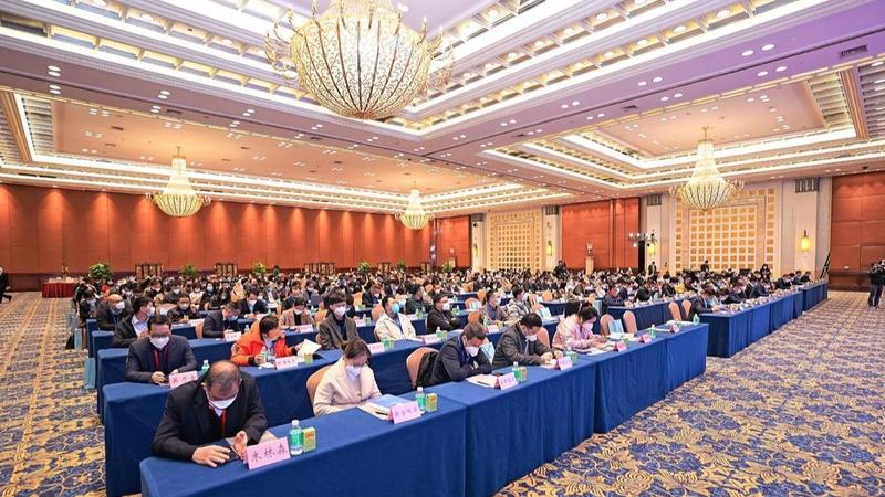 小鱼儿157333五点来料